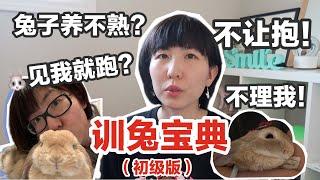 新手养兔-如何养出亲人的兔兔? 99%养兔人会犯的错误！抱兔子的正确步骤- 兔子不理我怎么办? 新手兔奴的9点经验大公开. 兔子不理我怎么办?