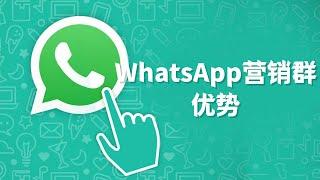 WhatsApp营销群的优势#WhatsApp常用营销工具