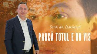 Sorin din Barbulesti - PARCA TOTUL E UN VIS ️‍🩹