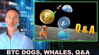 BITCOIN DOG, BLUWHALE A.I. NODES ON YOUR PHONE, Q&A