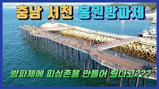 방파제에 피싱존을 만들어 줬다고??? (충남 서천 홍원방파제 낚시 포인트 한눈에 둘러보기)