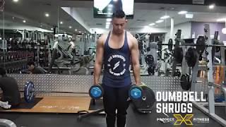 Project X Fitness: Dumbbell Shrug