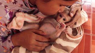 Deeply Touched My Heart, Mom Tenderly Kissing Comfort Tiny Baby Monkey Jason To Sleep Well Very Warm