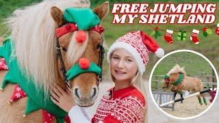 FREE JUMPING CLOUDY MY SHETLAND PONY! HARLOW'S VLOGMAS