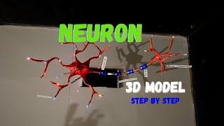 neuron model project 3d model #science project for biology project class 11-12 NakulSahuArt