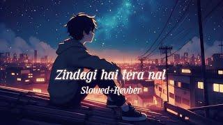 Zindagi Hai Tera Nal | Full song  ( Slowed+Revber ) HN SLOWED #sadsong #viralsong #slowedandreverb