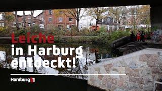 Leiche in Harburg entdeckt! I Hamburg1 Aktuell vom 01.12.2022