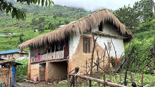 This is Himalayan Very Relaxing Hari Rokaya Village Lifestyle |Organic Food Cooking in Shepherd Life