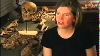 Secrets of the Dead - Blood Red Roses - Towton 1461-4.mpg