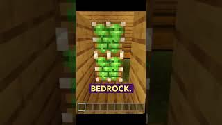 How to make a hidden door in Minecraft Bedrock [MCPE / Console / PC] #shorts