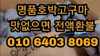 명품호박고구마 판매 01064038069