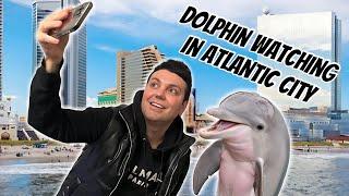 Dolphin Watching in Atlantic City | Ultimate Guide to Atlantic City Cruises & Tips for Your Trip