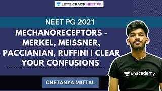 Mechanoreceptors - Merkel, Meissner, Paccianian, Ruffini | Clear Your Confusions | Chetanya Mittal