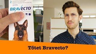 Tötet Bravecto?