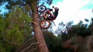 Toni Bou - Tribute