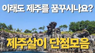 제주살이|제주살이장단점|제주도단점|제주도이주|제주도물가|제주도일자리|제주도집값||