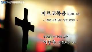 오늘의 강론(2023.02.04) - 부산교구 망미성당 보좌 이승우 안토니오 신부님