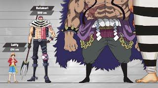 One Piece Size Comparison (Post-Timeskip/Part2)