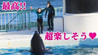 鴨川シーワールドのシャチとトレーナーさん最高すぎる!! シャチショー KamogawaSeaWorld  orca killerwhale