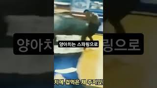 양아치 참교육 ㅣ스파링은 합법적인 맴매?