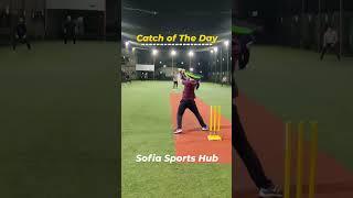 Box cricket is fun at Sofia Sports Hub-largest box cricket arena in Delhi NCR #cricket #indvsnz