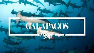 Buceo en Galápagos con Master Galapagos Liveaboard