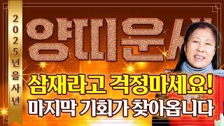 2025년 을사년 대박나는 양띠운세양띠 복 터졌다!! 2025년 삼재에도 '대운'이 들어온다! 금전운 문서운 강하게 들어와 대박나는 양띠운세 55년생 67년생 79년생 91년생