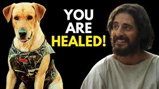 Miracle Healing Jesus Saves Dog from DEADLY Bone Cancer!