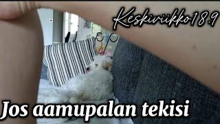 Ensiavussa käyty, ei mitään selitystä #arkivlog #dailyvlog #cotondetulear #vlog