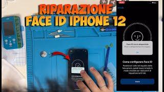 iPhone 12 face id repair #faceidrepair #iphone12 #albinorifici