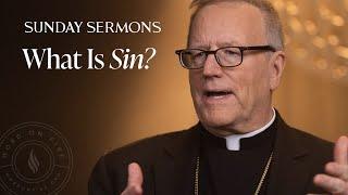 What Is Sin? - Bishop Barron's Sunday Sermon