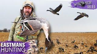 We Shot a Pintail!  Hunting A Huge Feed