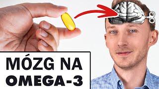 Jak omega-3 zmieniają mózg. Imponujące działanie zdrowotne