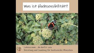 Was ist Hochsensibilität? Hochsensibilität verstehen - Alle wichtigen Fakten | Michaela Rödl