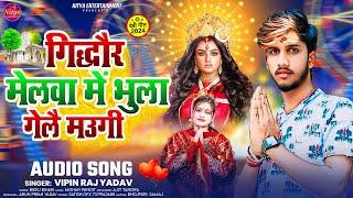 गिद्धौर मेलवा में भुला गेलै मउगी | #Vipin Raj Yadav | Gidhaur Melwa Me Bhula Gelo | #Maghi Song 2024