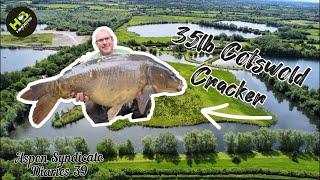 294, 35lb Cotswold Cracker, Aspen Syndicate Diaries 39