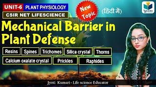 Mechanical Barrier in Plant Defense || Resins, Spines, Trichomes, Prickles, Raphides, Thorns | CSIR