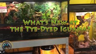 What's New at the TDI?