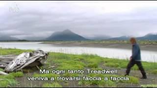 Grizzly Man - Werner Herzog