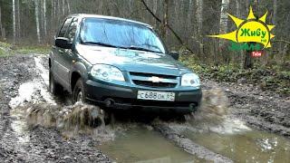 ШЕВРОЛЕ НИВА С ПРОБЕГОМ. ЧТО НУЖНО СДЕЛАТЬ СРАЗУ ПОСЛЕ ПОКУПКИ.