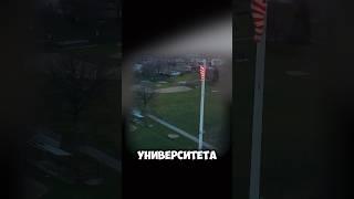 Единственный подарок, который не стыдно подарить! #книги #библиотека #факты