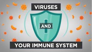 Evo-Ed: Viruses and the Immune System