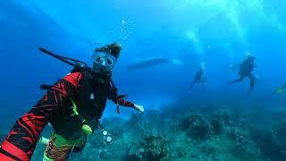 Exploring the underwater in Honduras, Utila