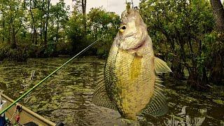 Jig and bobber tips and tricks for October Crappie fishing