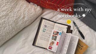 a week with my notebooks | hobonichi x field notes faq 