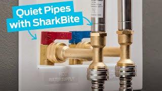 How to Quiet Pipes with SharkBite Water Hammer Arrestors