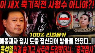 죽기 직전 사형수같아.. 경악!! 애동제자한테 윤석열인걸 숨기고 사주만 드려봤더니.. 방울을 던졌다..!! 윤석열 올해 죽는수가 보인다?! 윤석열 사주풀이 신점