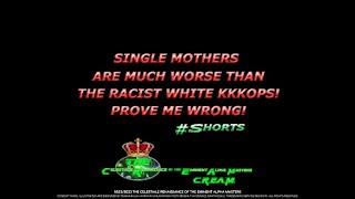 BLACK SINGLE MOTHERS ARE MUCH WORSE THAN RACIST WHYTE COPS! ️MALE CHAUVINISTIQUE ENTHUSIAST️