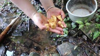 Treasure hunt metal detector mines valuable large gold nuggets in deep mountains