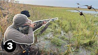 2023 Teal Hunt - We Found The Birds! - Secret Little Honey Hole